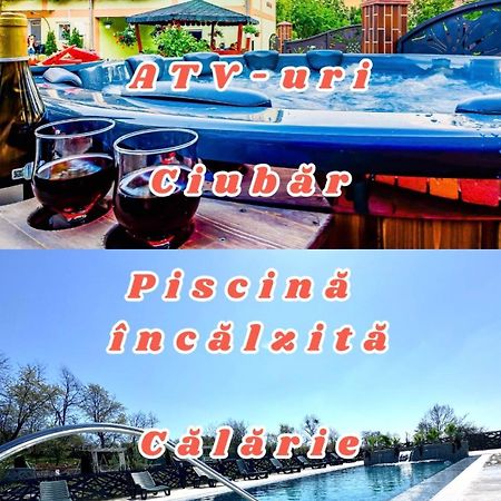 Pensiunea Mihaela-Transalpina Новачі-Страіні Екстер'єр фото