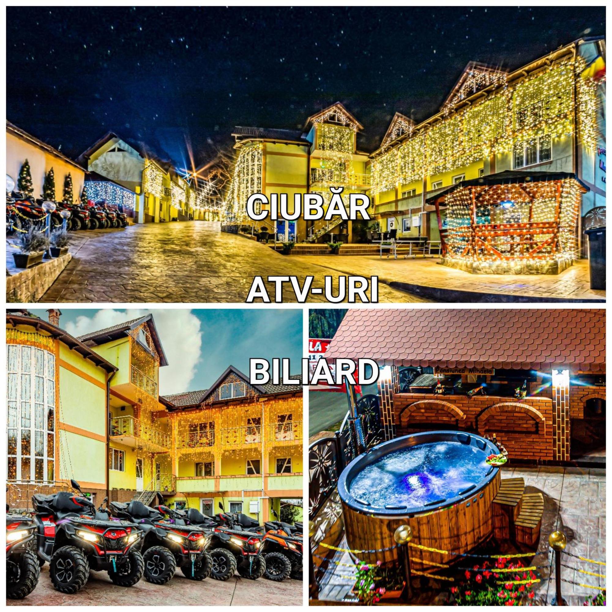 Pensiunea Mihaela-Transalpina Новачі-Страіні Екстер'єр фото