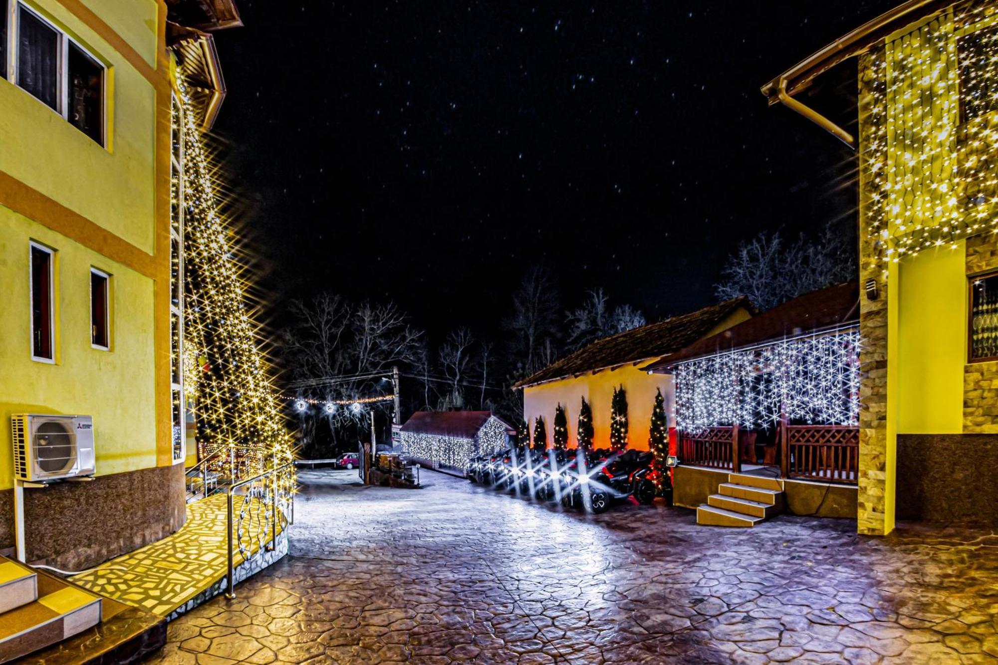 Pensiunea Mihaela-Transalpina Новачі-Страіні Екстер'єр фото