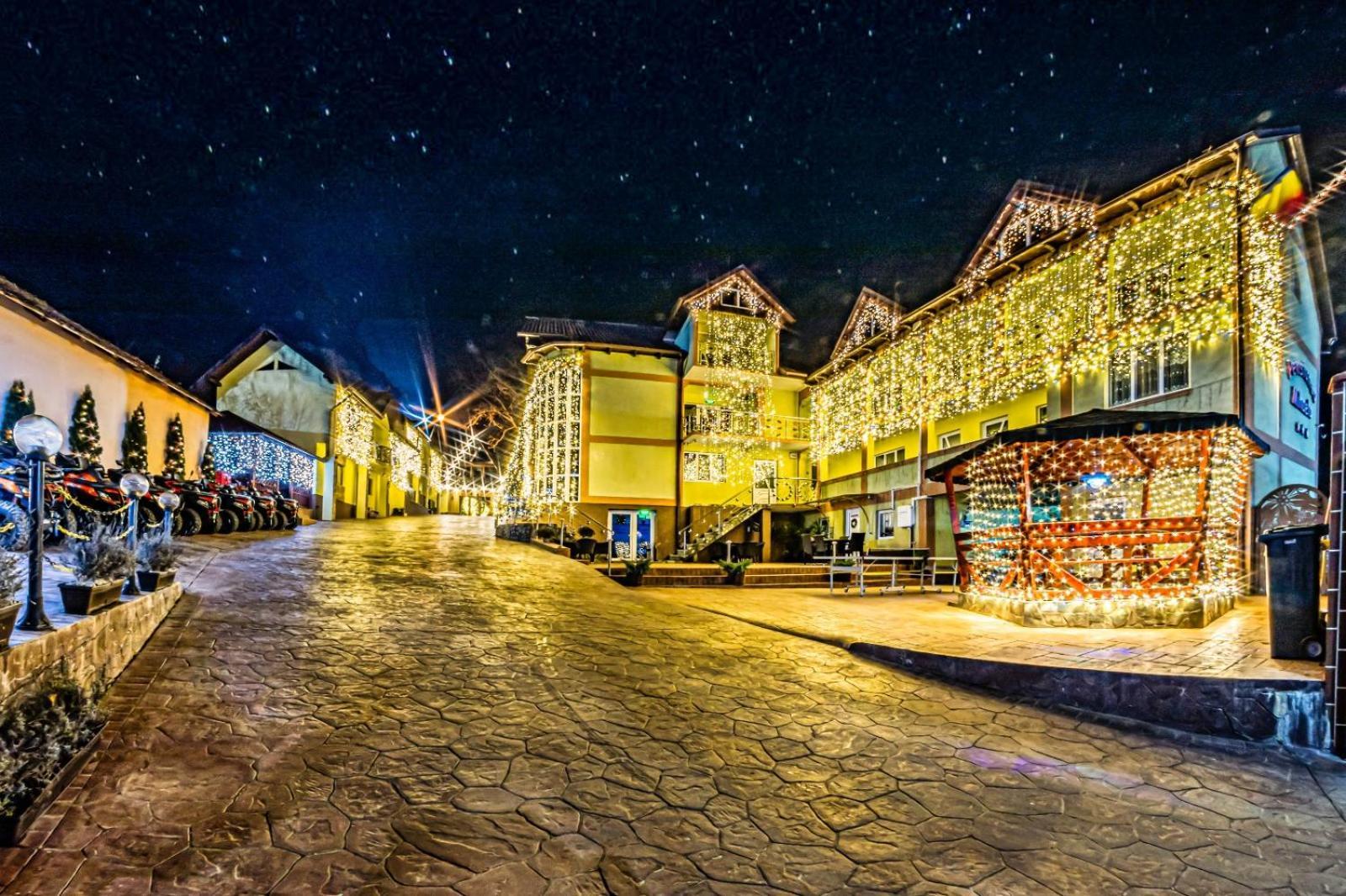 Pensiunea Mihaela-Transalpina Новачі-Страіні Екстер'єр фото