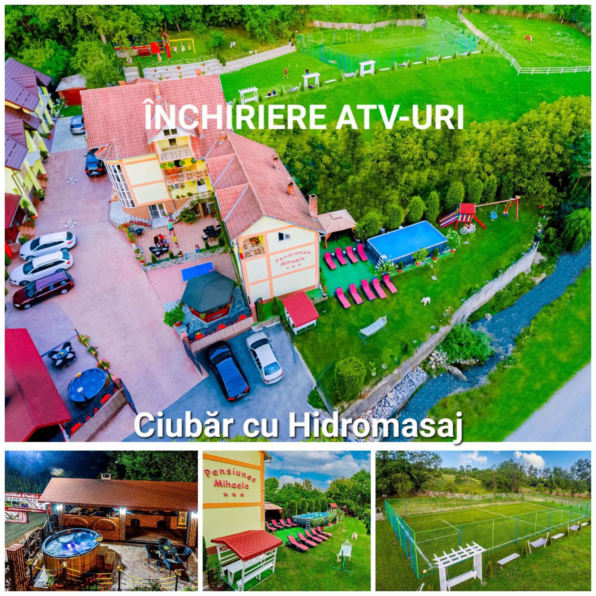 Pensiunea Mihaela-Transalpina Новачі-Страіні Екстер'єр фото
