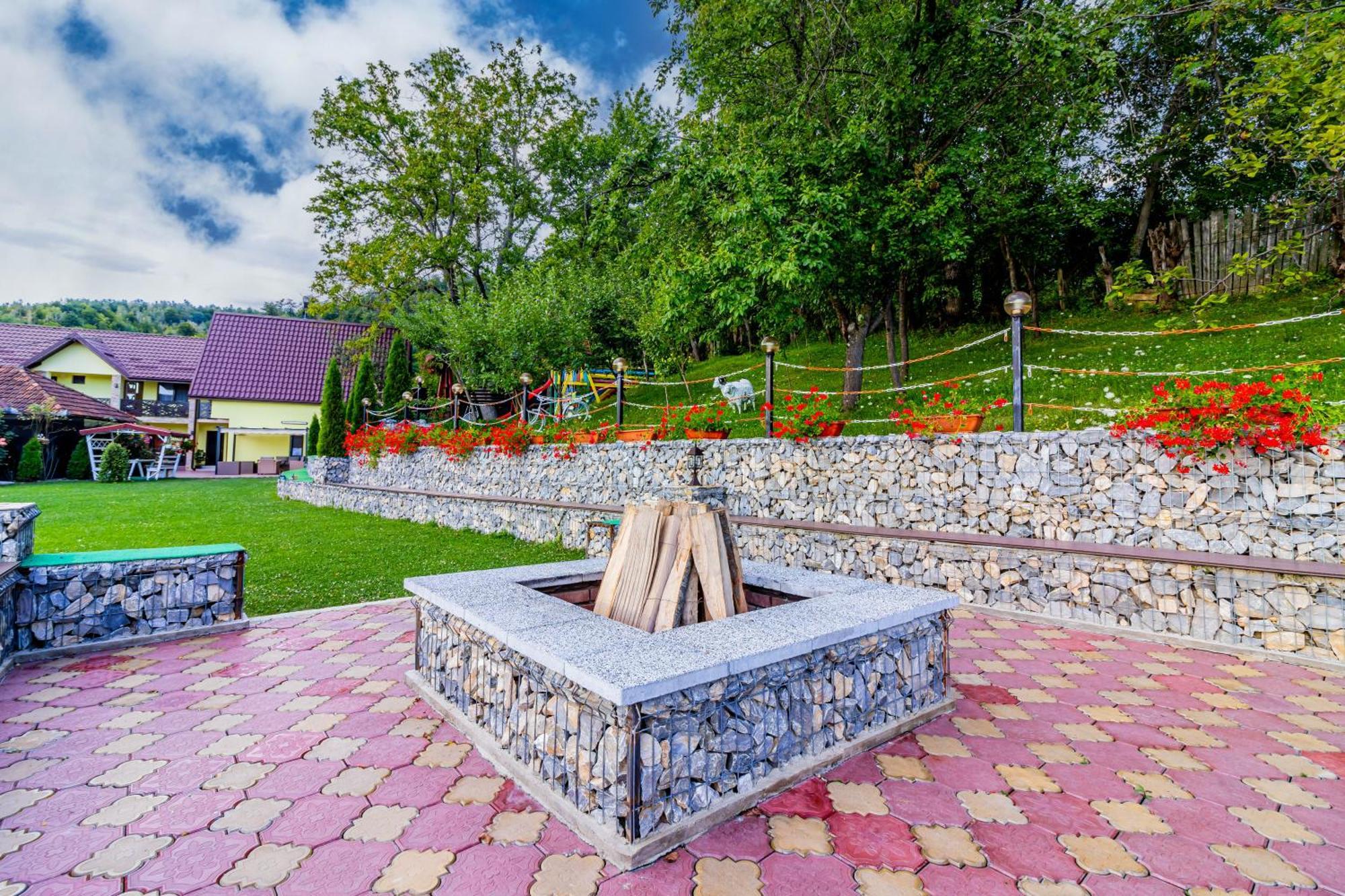 Pensiunea Mihaela-Transalpina Новачі-Страіні Екстер'єр фото